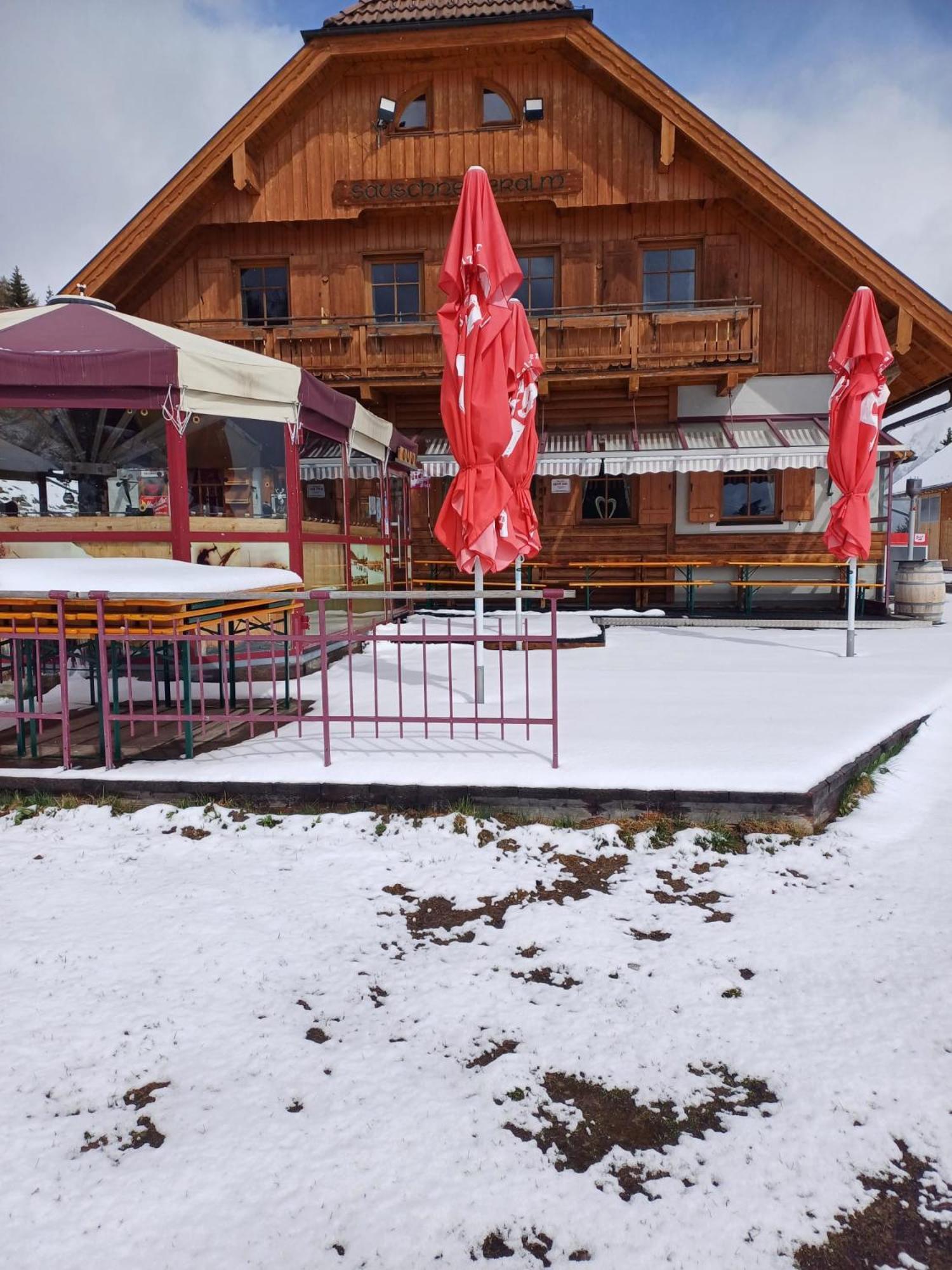 Hotel Sauschneideralm Faningberg Exteriér fotografie